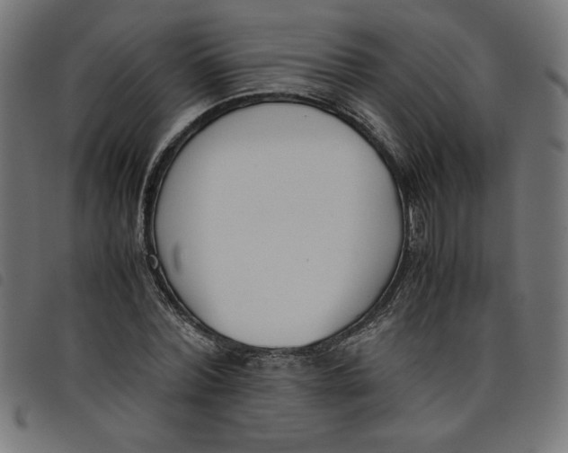 X0000098100780200804251403