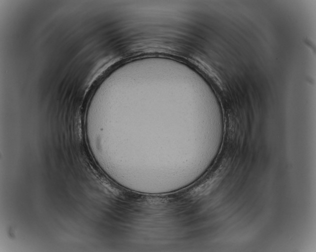 X0000098100782200804251403