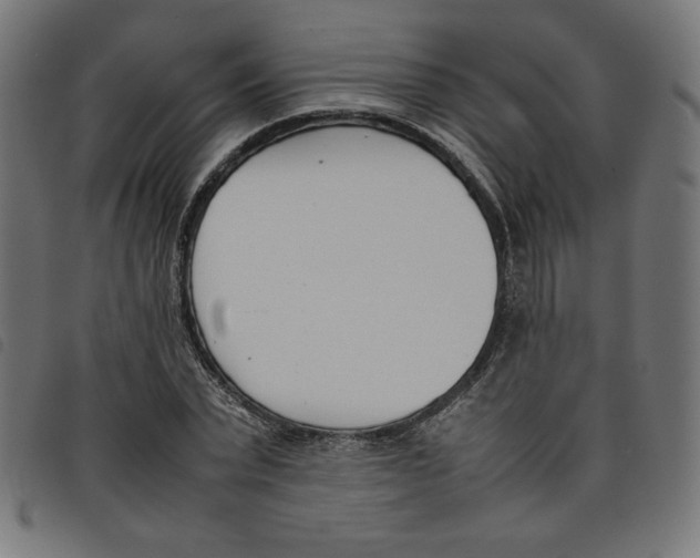 X0000098100783200804251403