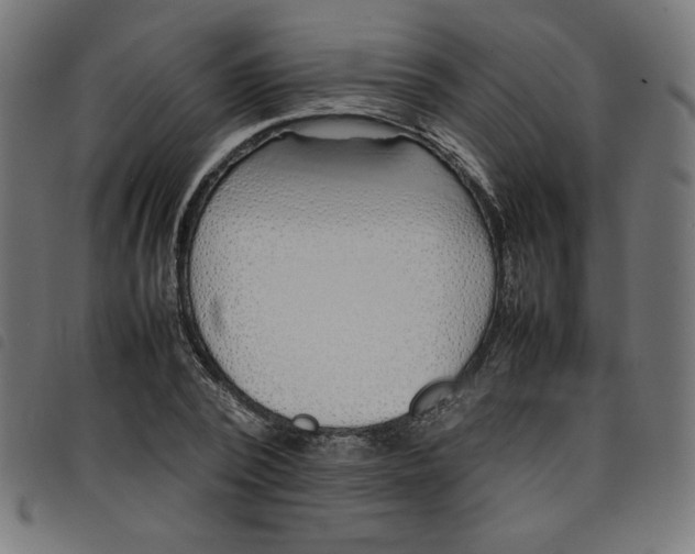 X0000098100784200804251403