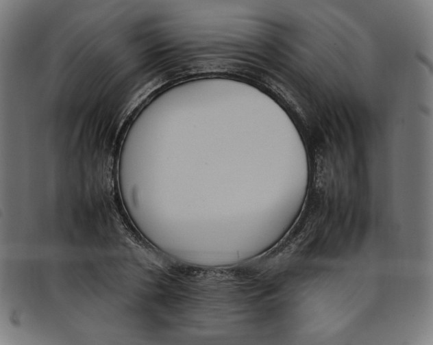 X0000098100786200804251403