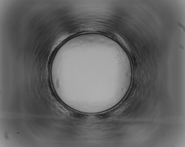 X0000098100787200804251403