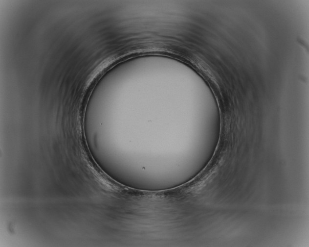 X0000098100789200804251403