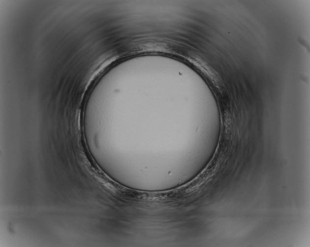 X0000098100790200804251403