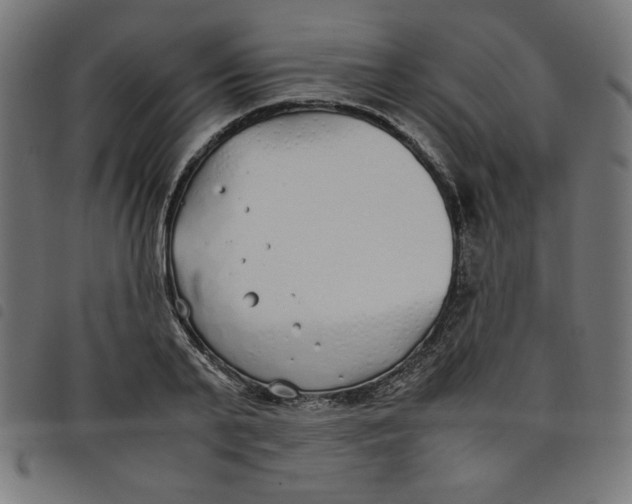 X0000098100791200804251403