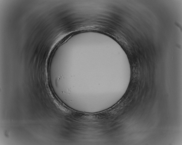 X0000098100792200804251403
