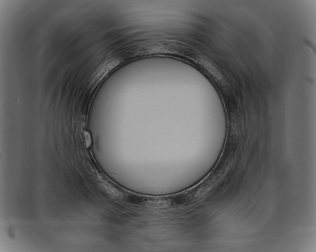 X0000098100793200804251403