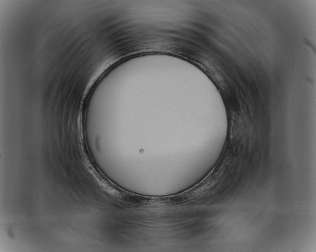 X0000098100796200804251403