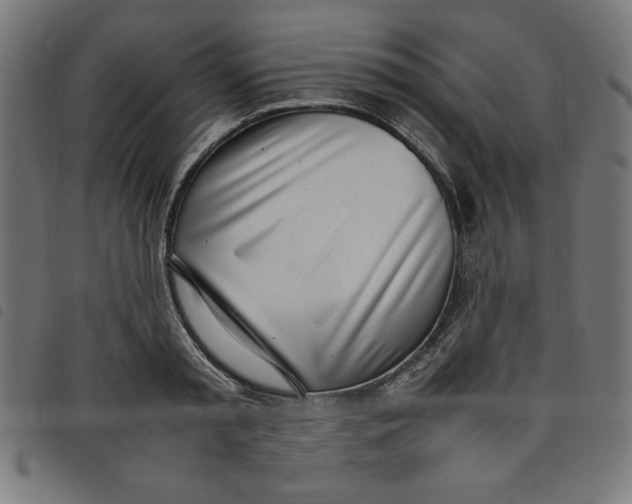 X0000098100797200804251403