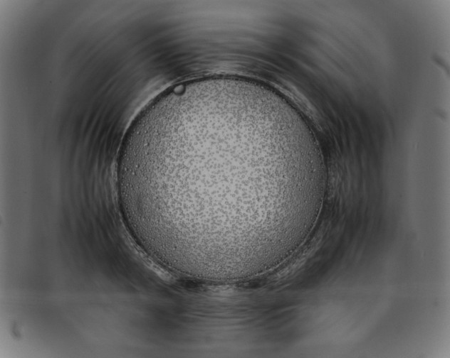 X0000098100798200804251403
