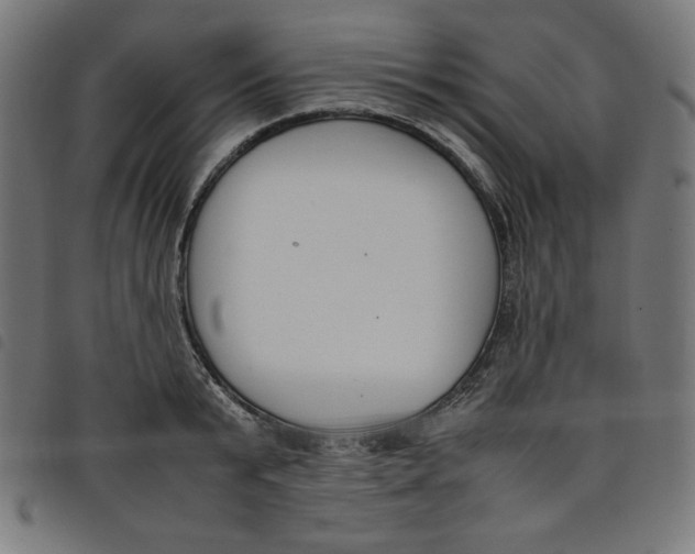 X0000098100799200804251403