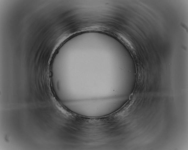 X0000098100800200804251403