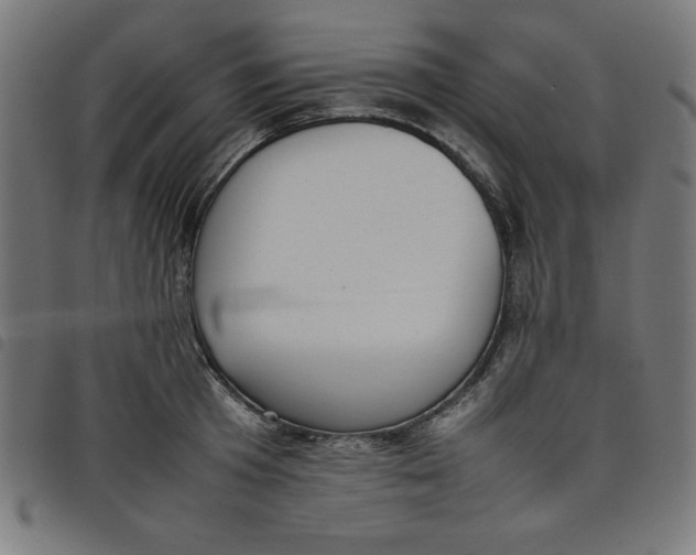 X0000098100801200804251403