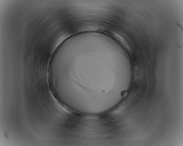 X0000098100802200804251403