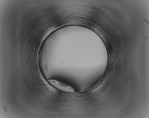 X0000098100803200804251403