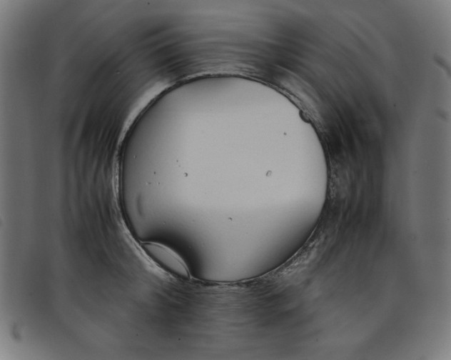 X0000098100804200804251403