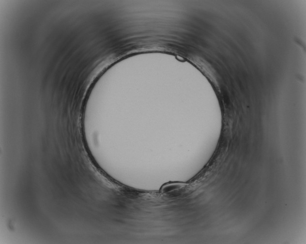 X0000098100805200804251403