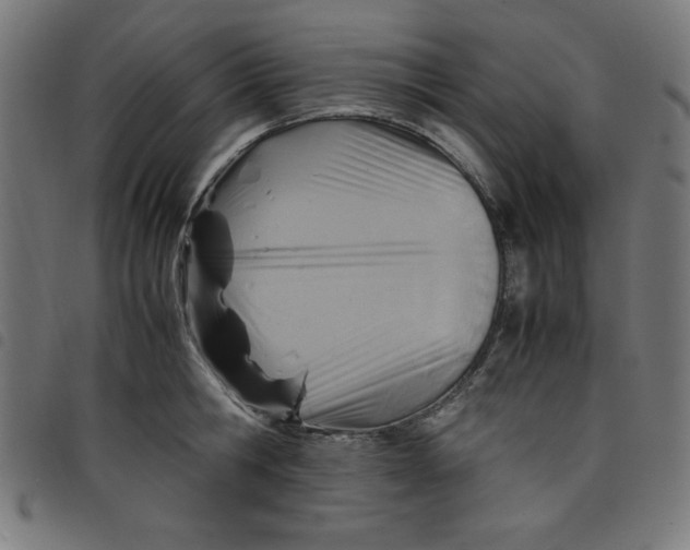 X0000098100806200804251403
