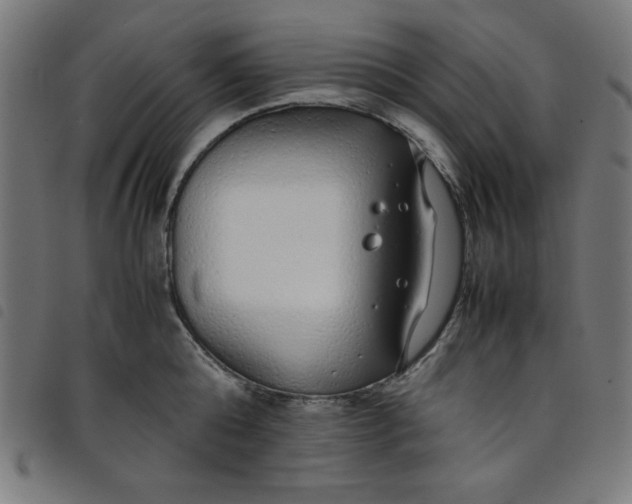 X0000098100808200804251403