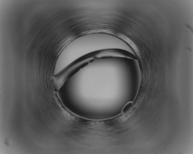 X0000098100809200804251403