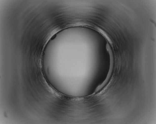 X0000098100810200804251403