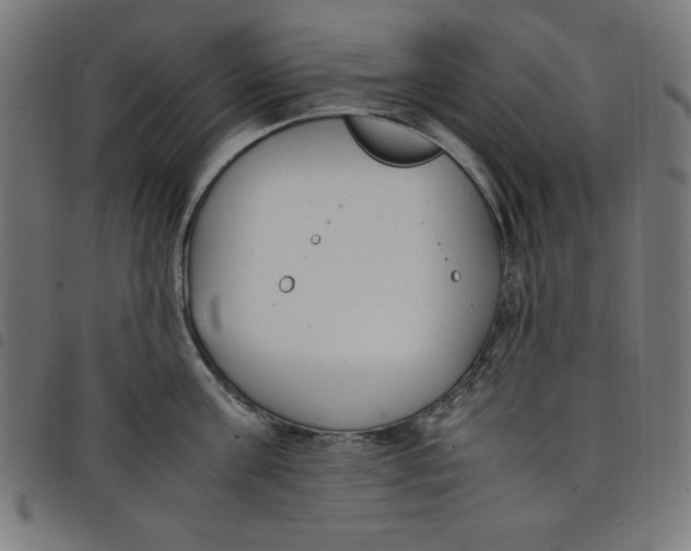 X0000098100811200804251403