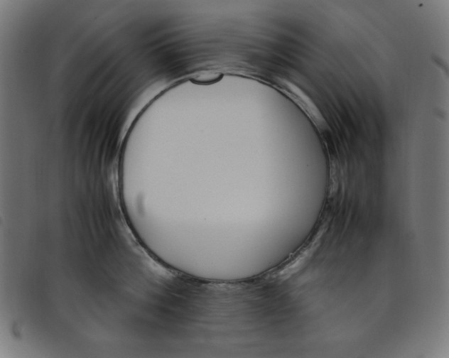 X0000098100812200804251403