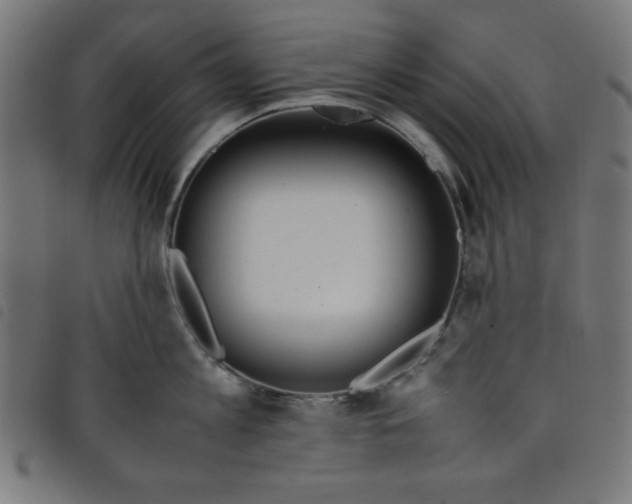 X0000098100813200804251403