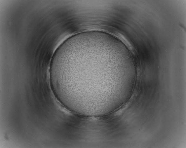 X0000098100814200804251403