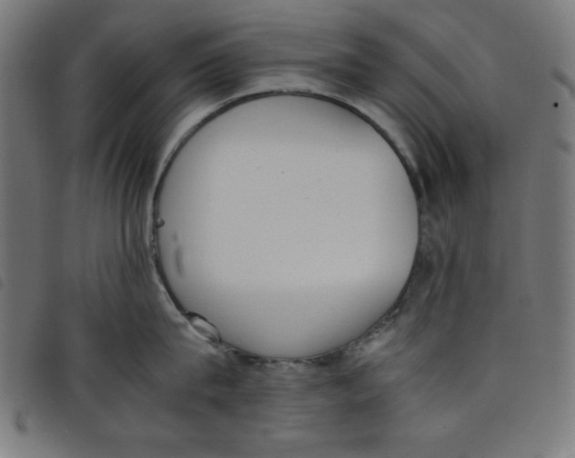 X0000098100815200804251403