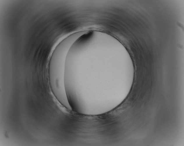 X0000098100816200804251403