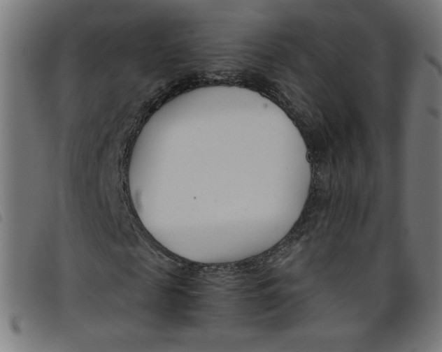 X0000098100817200804251402