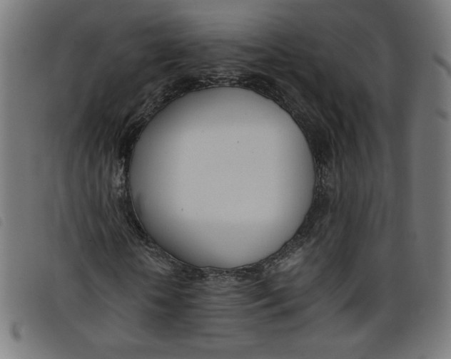 X0000098100818200804251402