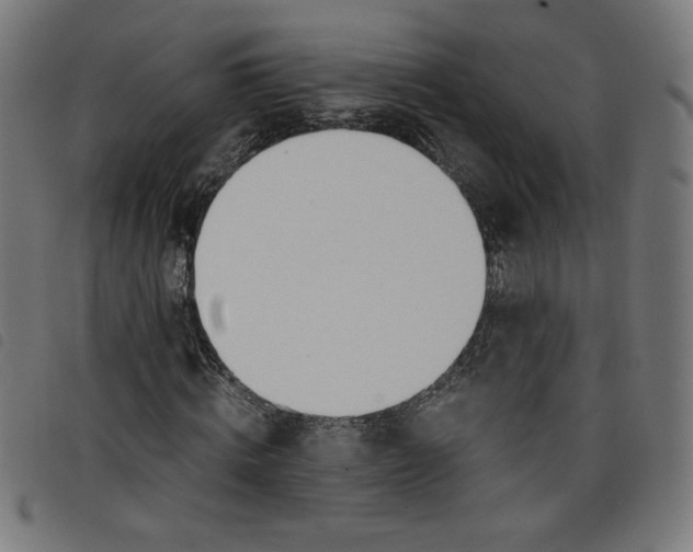 X0000098100820200804251402