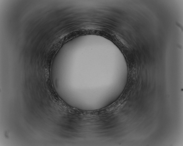 X0000098100821200804251402