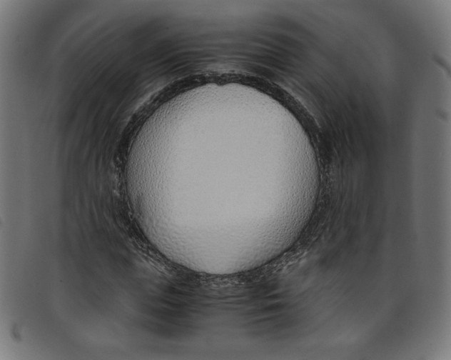 X0000098100823200804251402