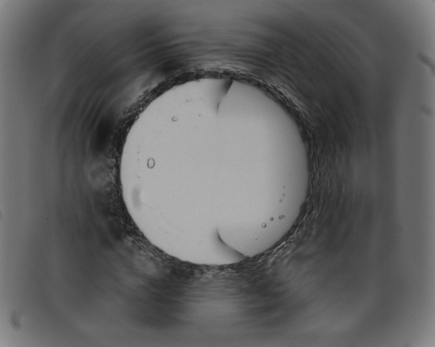 X0000098100824200804251402