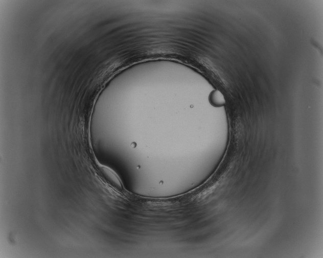 X0000098100825200804251402