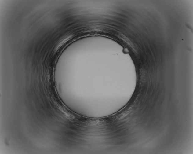 X0000098100826200804251402