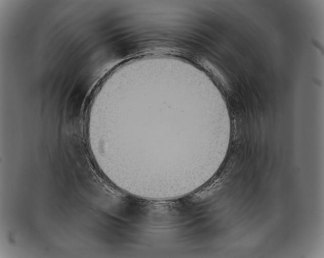 X0000098100828200804251402