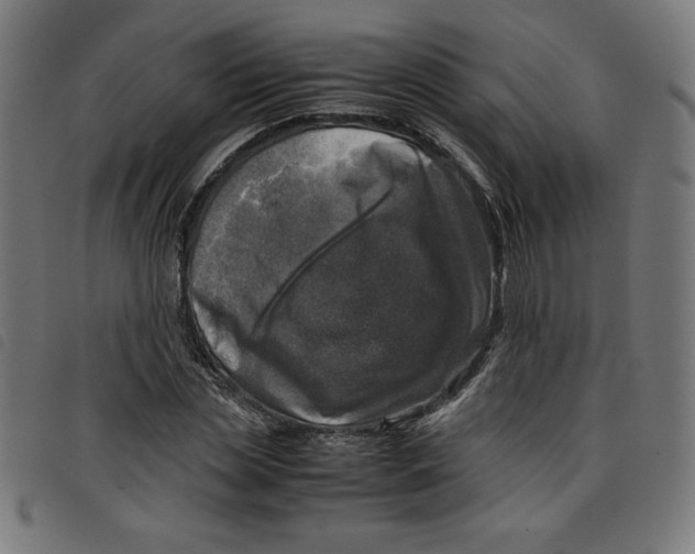 X0000098100829200804251402