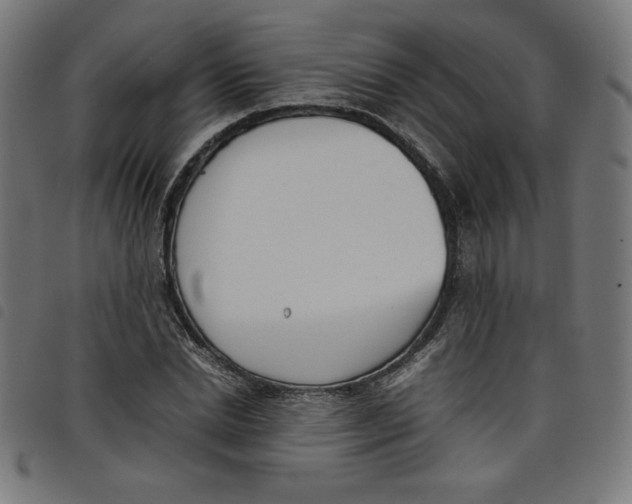 X0000098100830200804251402