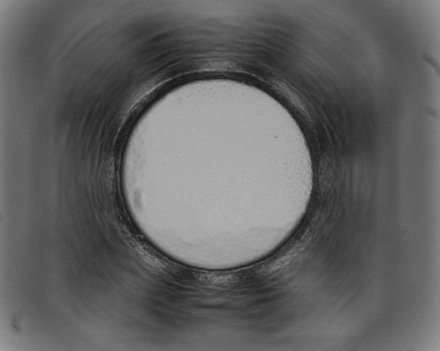 X0000098100831200804251402
