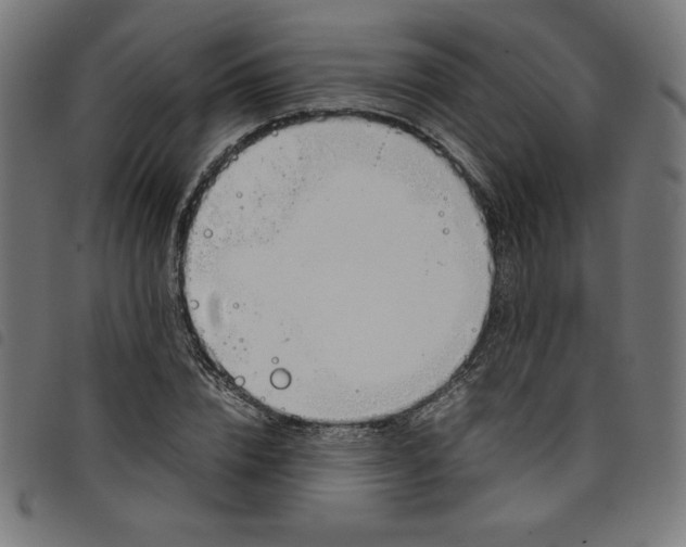 X0000098100832200804251402