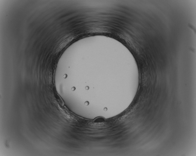 X0000098100833200804251402