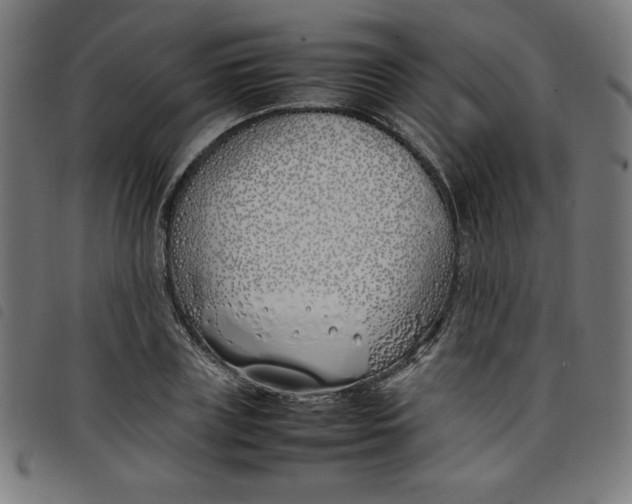X0000098100835200804251402