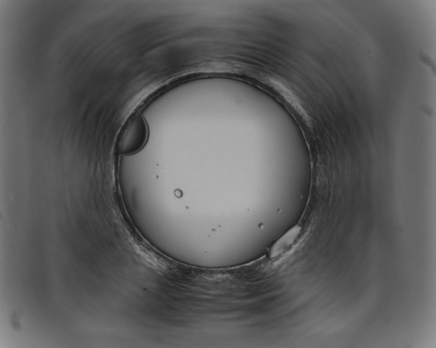 X0000098100837200804251402