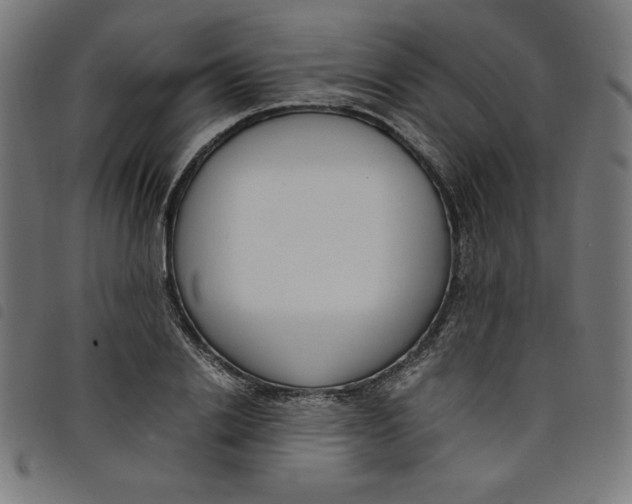 X0000098100838200804251402