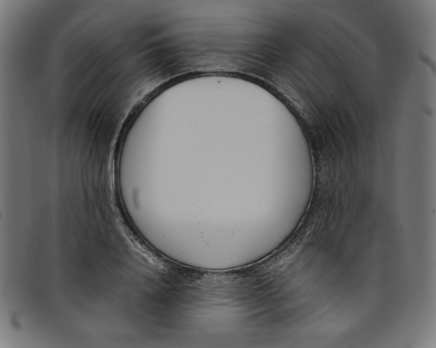 X0000098100840200804251402