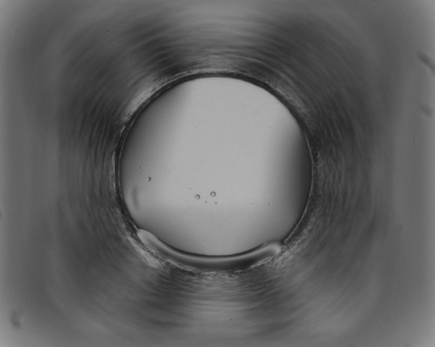 X0000098100842200804251402